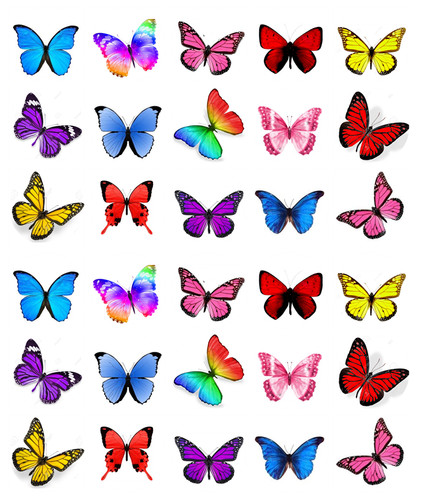 Mixed colours butterflies - mixed,