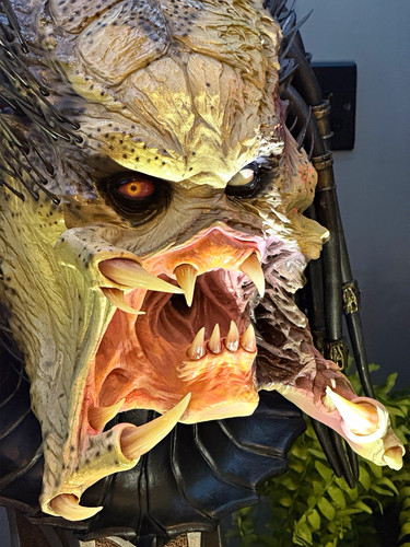 Sideshow collectibles wolf - collectibles,