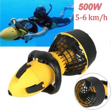 500W Electric Underwater