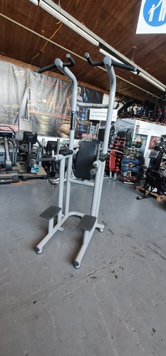 Technogym chin dip leg - chin, up/dip