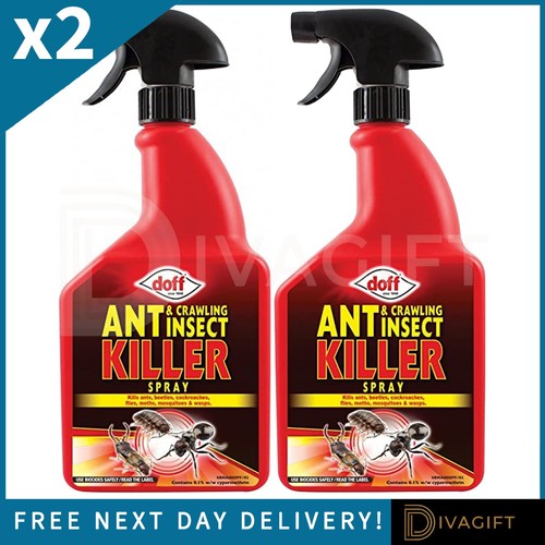 Doff ant crawling insect - doff,