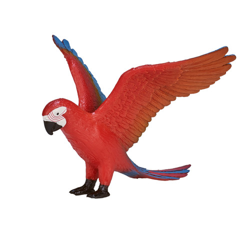 Parrot macaw bird pet wild - parrot,