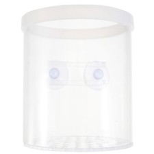 Fish Tank with Terrarium Fry