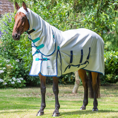 Shires highlander plus - highlander,