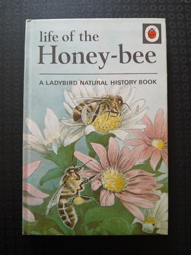 Ladybird natural history - a,