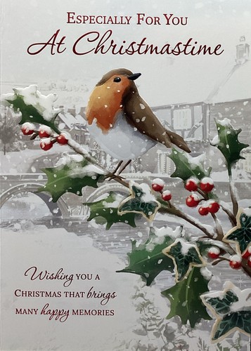 Open christmas card robin - christmas,