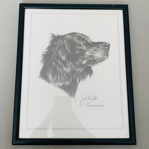 Vintage 1970s gordon setter - 1970s,