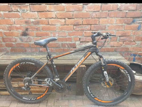 Mountain bike - mountain,