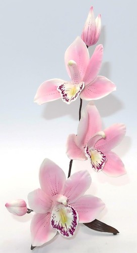Boehm england cymbidium - boehm,, pink