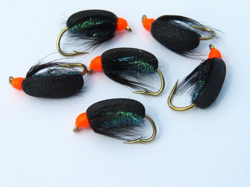 Coch bonddu beetles fly - y,