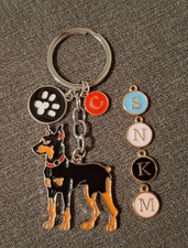 Doberman  Black & Tan Dog