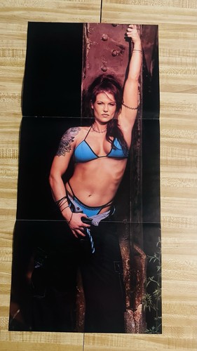 Wwe lita poster - wwe, 11x24”