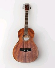Ibanez PNB14E-OPN Acoustic