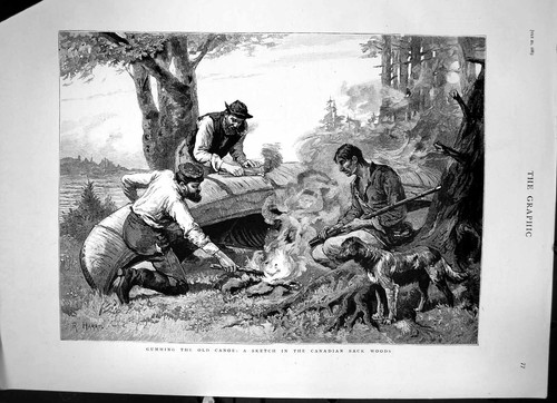 Antique old print gumming the - antique,