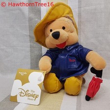 Winnie The Pooh In Raincoat