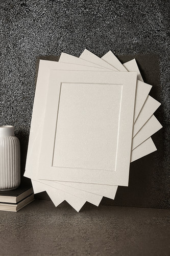 Picture mounts 8x10inch with - mounts,