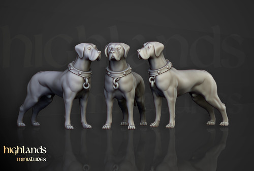 War hound tabletop - hound, of