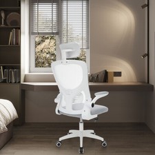 Ergonomics Mesh Office Chair