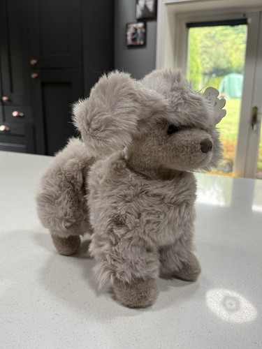 Günd soft poodle - günd, toy