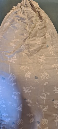 Vanessa arbuthnott cow parsley - cow,