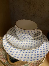 Coalport, Thomas Goode,  Bone