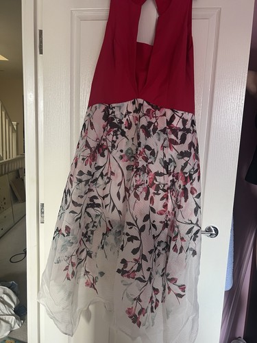 Coast occasion dress women - coast, women's