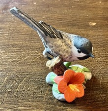 Black Capped Chickadee