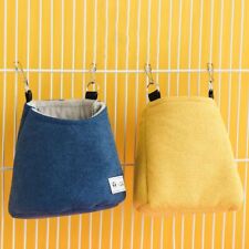 Hanging Winter Sugar Glider