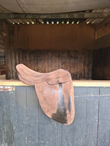 Fylde hayden - 17.5”,
