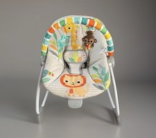 Bright Starts Safari Fun Baby