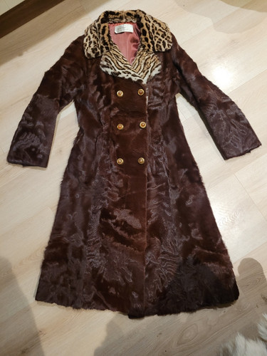 Russian red pony - pony, coat