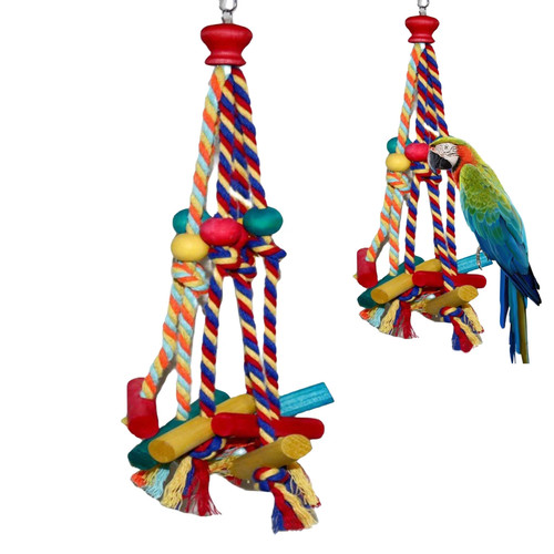 Bird rope climbing - bird,