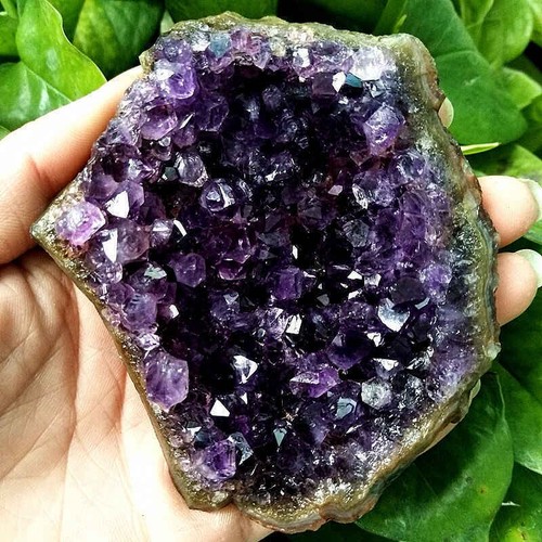 100 150g large - 100-150g,