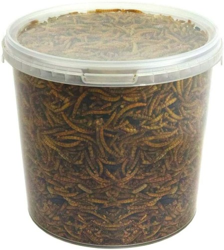 Dried mealworms premium - -,