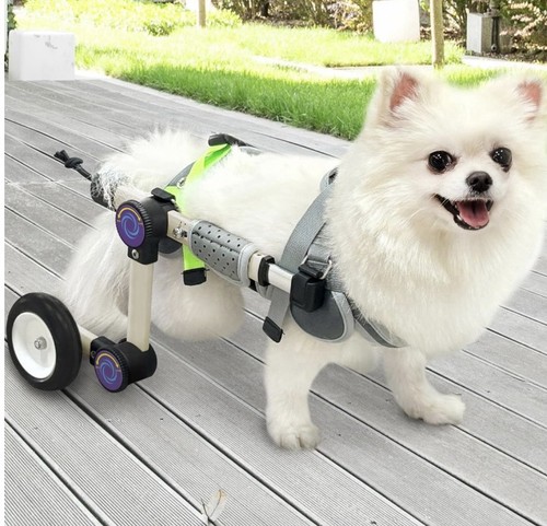 Letpetrun adjustable dog - adjustable,