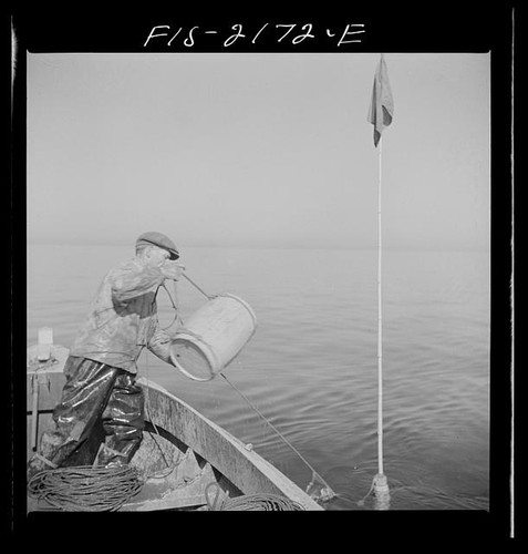 Cape cod massachusetts 1942 - cod,