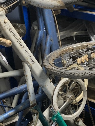 Moulton frame massive bulk - f,