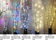 Festival 50 LED Twigs Lights 5