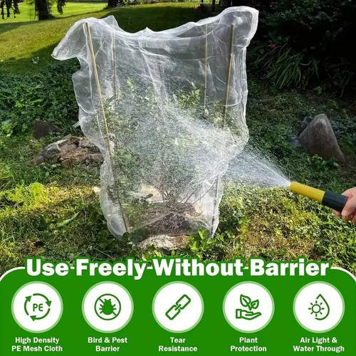 Garden plant protection - garden,