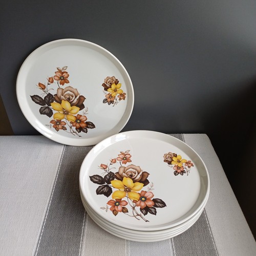 Royal tudor ware dinner plates - ware,