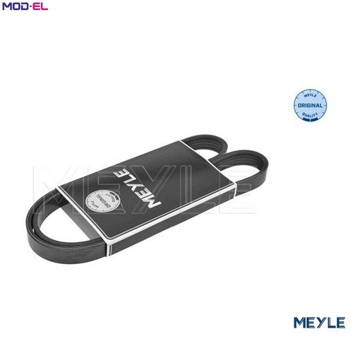 Vribbed belt 050 005 - vribbed, 0875