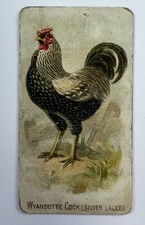 1891 N20 Allen & Ginter Prize