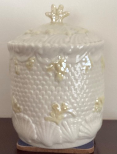 Belleek sea shell - biscuit, or