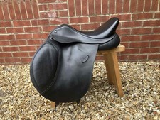 14 DAY TRIAL✅ 16.5" Arena by