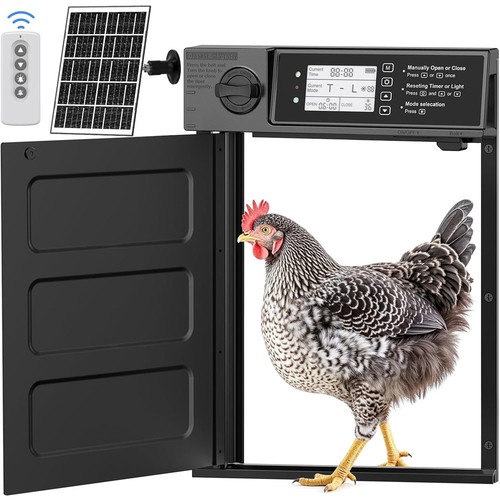 Large size automatic chicken - large,