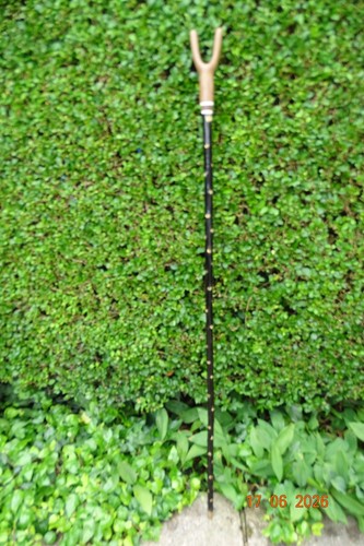 Blackthorn walking stick with