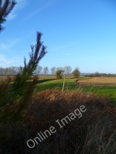 Photo 6x4 Path junction north