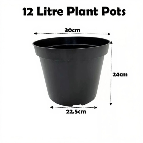 Litre black plant - 12,