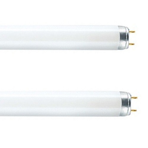 Fluorescent tube f58w 865 - fluorescent,