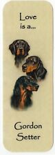 GORDON SETTER DOG BEAUTIFUL